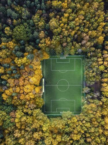 Золотая осень в Мещерском парке