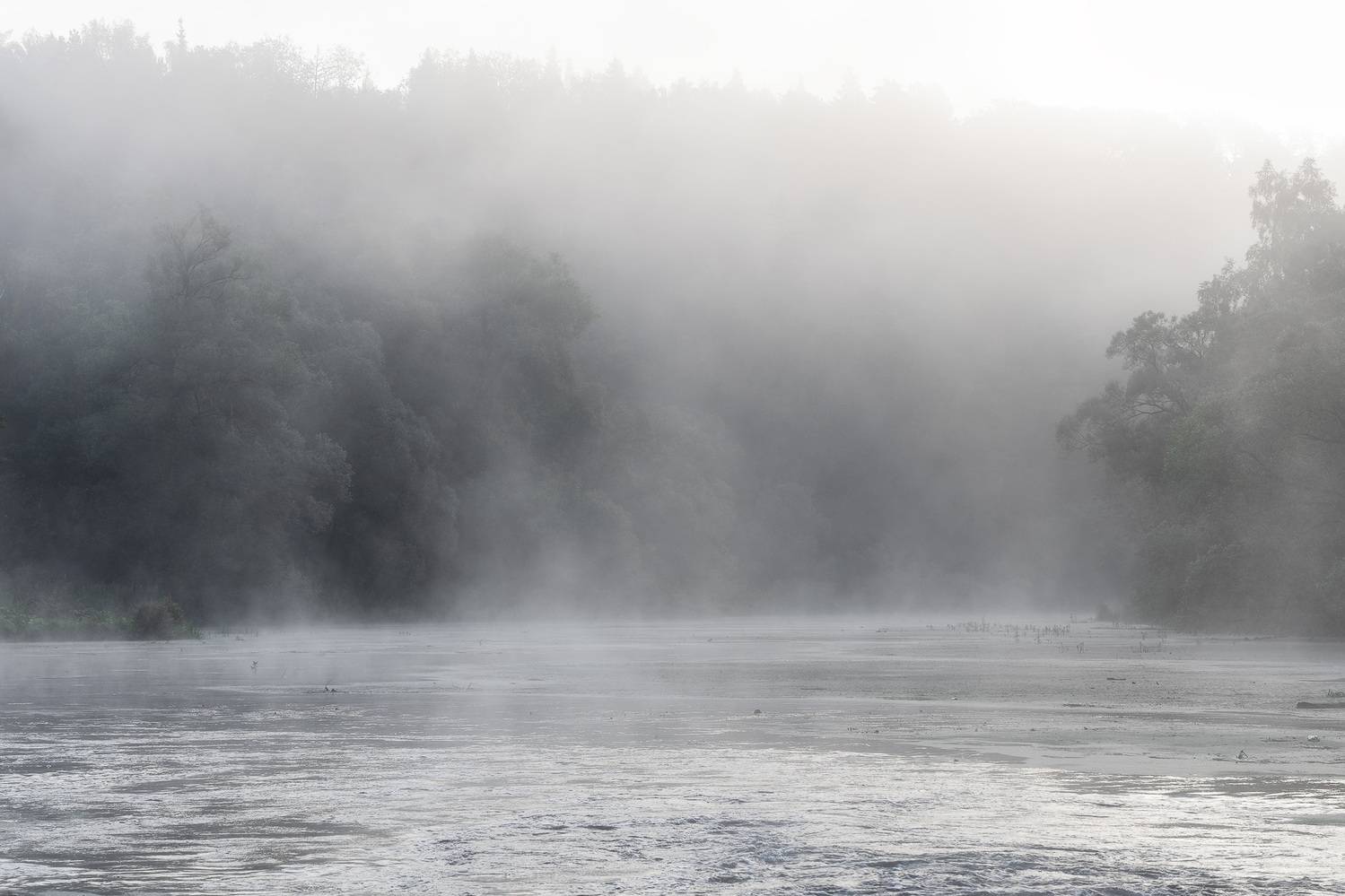 , Загруев Михаил