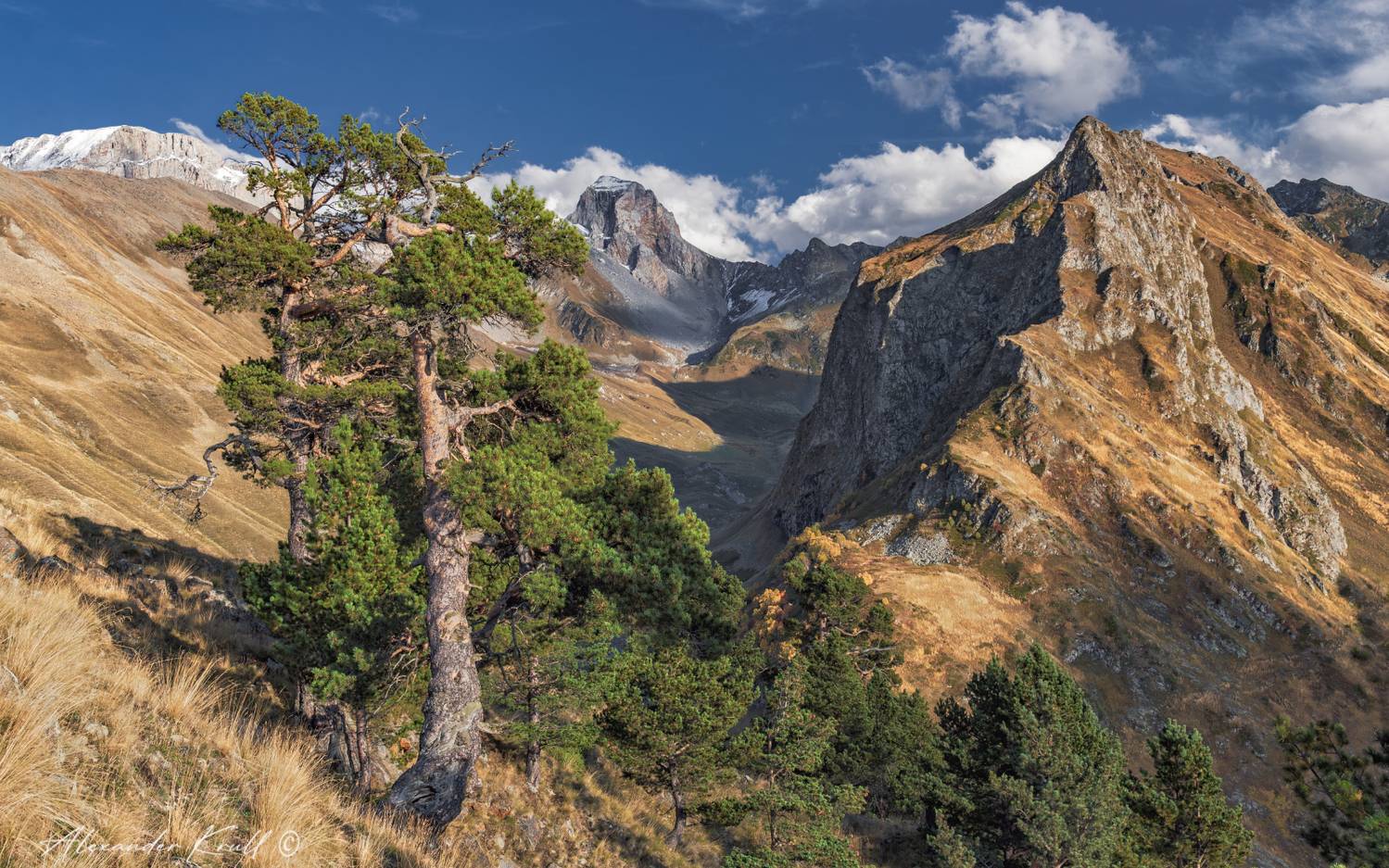 кчр, горы, сосны, шхуанта, осень, Круль Александр