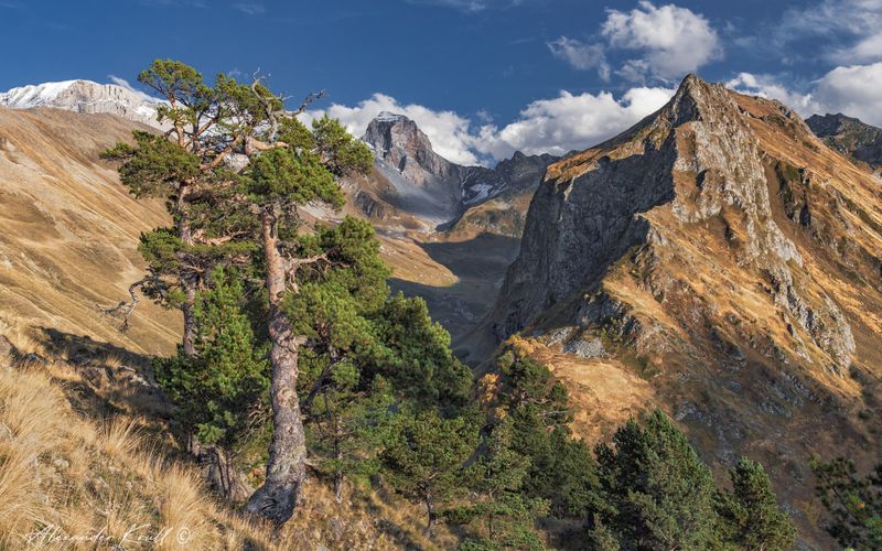 кчр, горы, сосны, шхуанта, осень Ближе к вечеру в горах фото превью