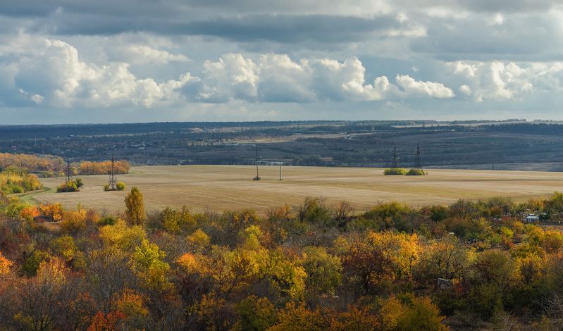 После дождя. фото превью