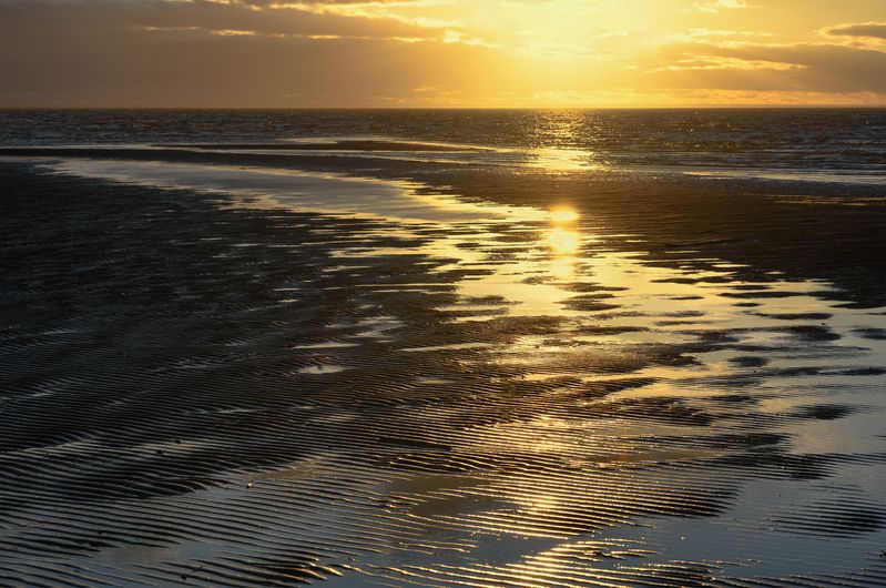 осень, сентябрь, море, белое море, вода, берег, отлив, вечер, закат, золотой закат Золотой закат, Белое море фото превью