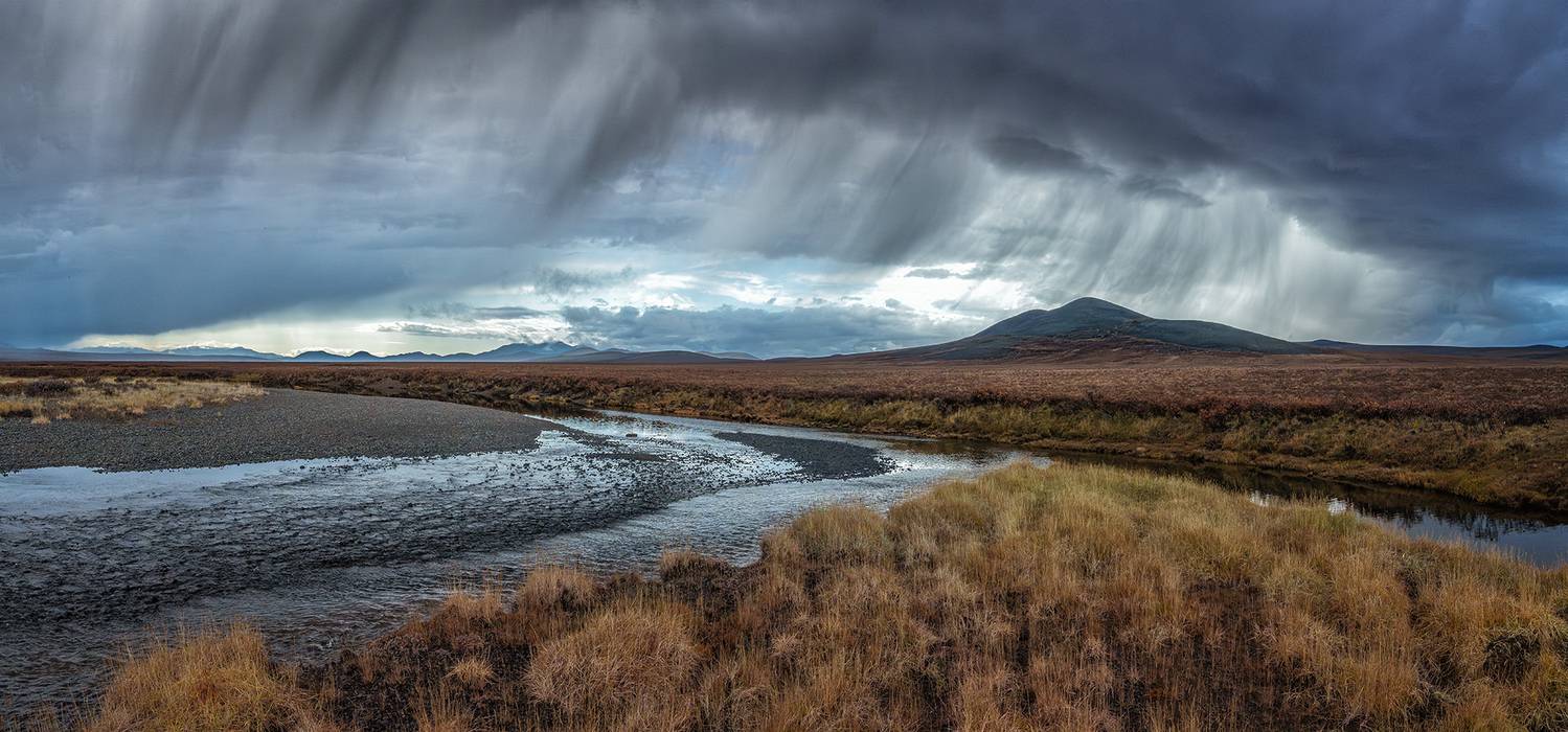 , Андреев Николай