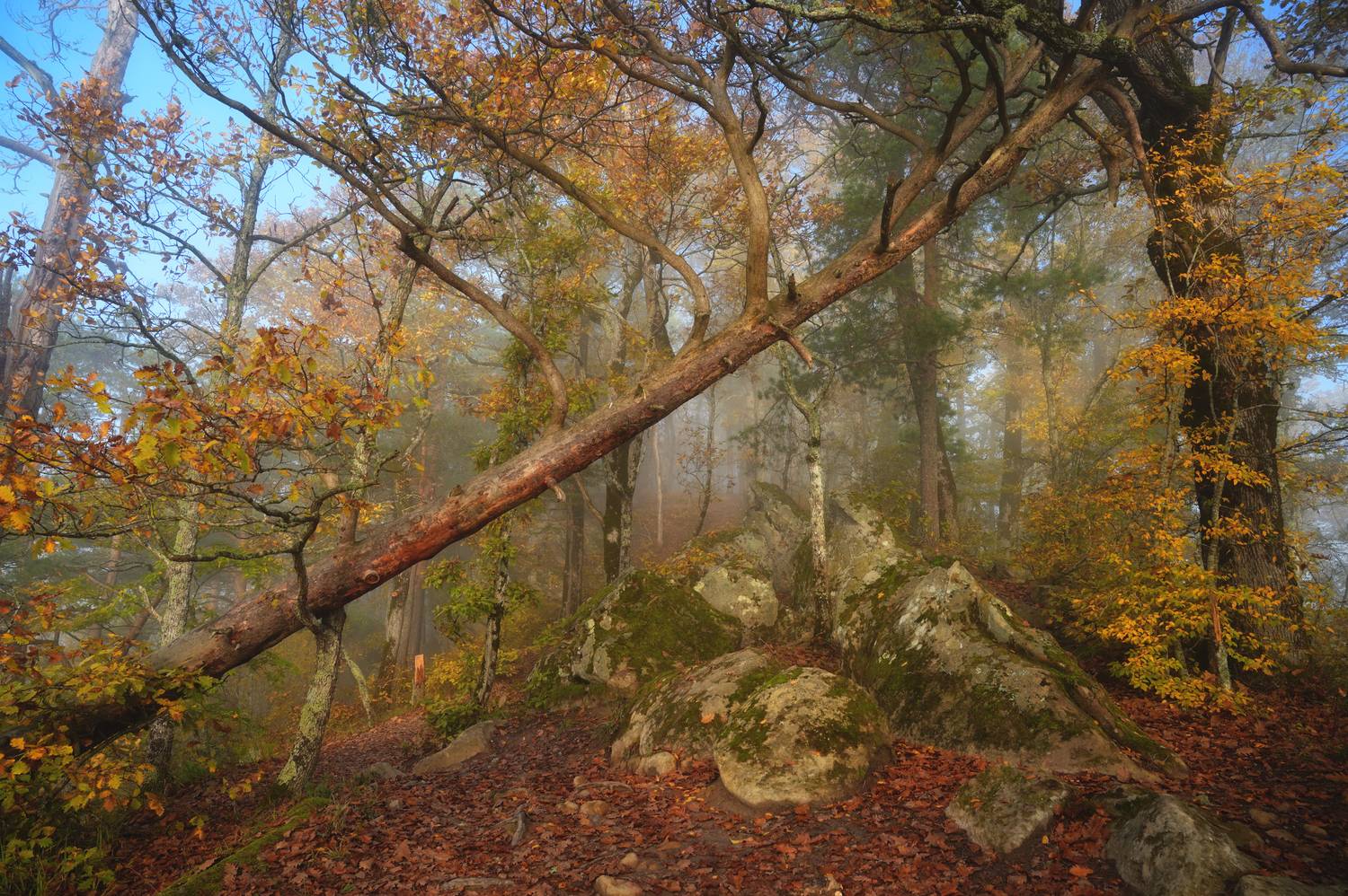 , Сергей Тихомиров
