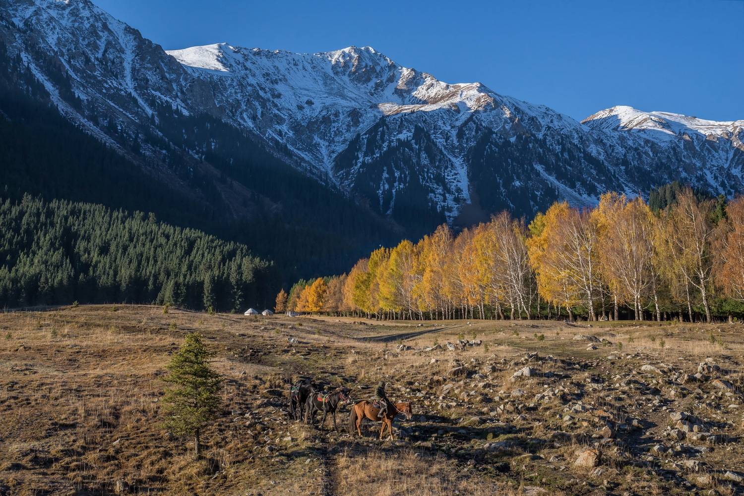 кыргызстан  горы, Евгений Дроботенко