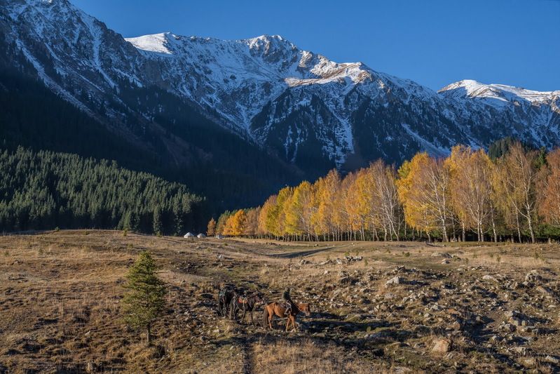 кыргызстан  горы Ущелье  Джеты-Огуз фото превью