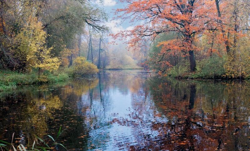 природа, парк, усадьба, осень, пруд Тихая осень фото превью
