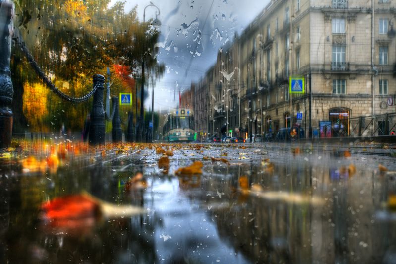 осенний дождь... фото превью