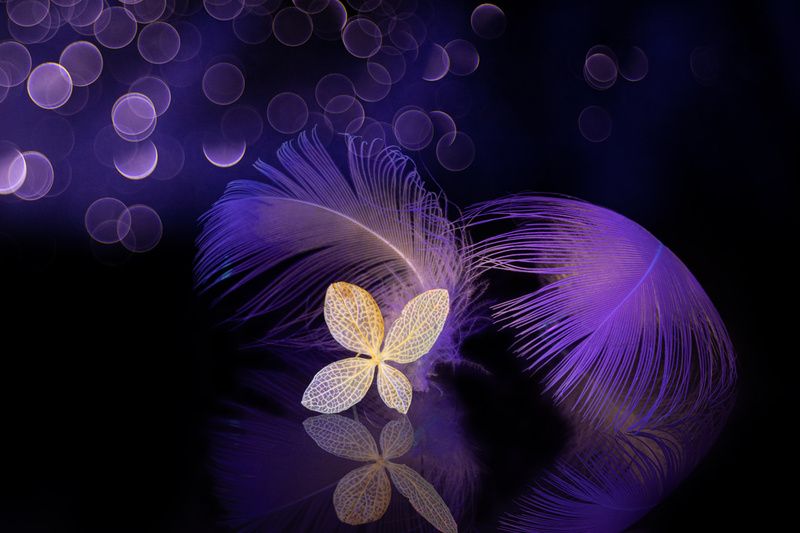 Инфернально фото превью