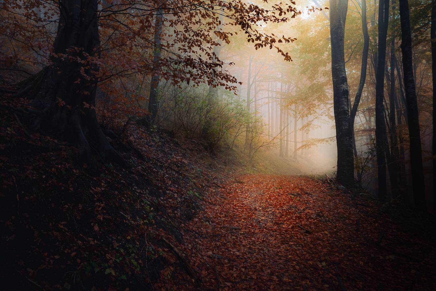 , Пенов Пламен