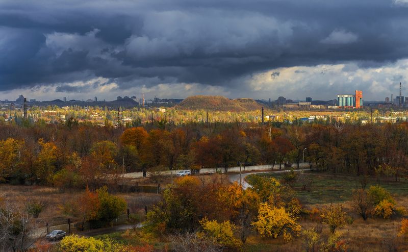 После дождя. фото превью