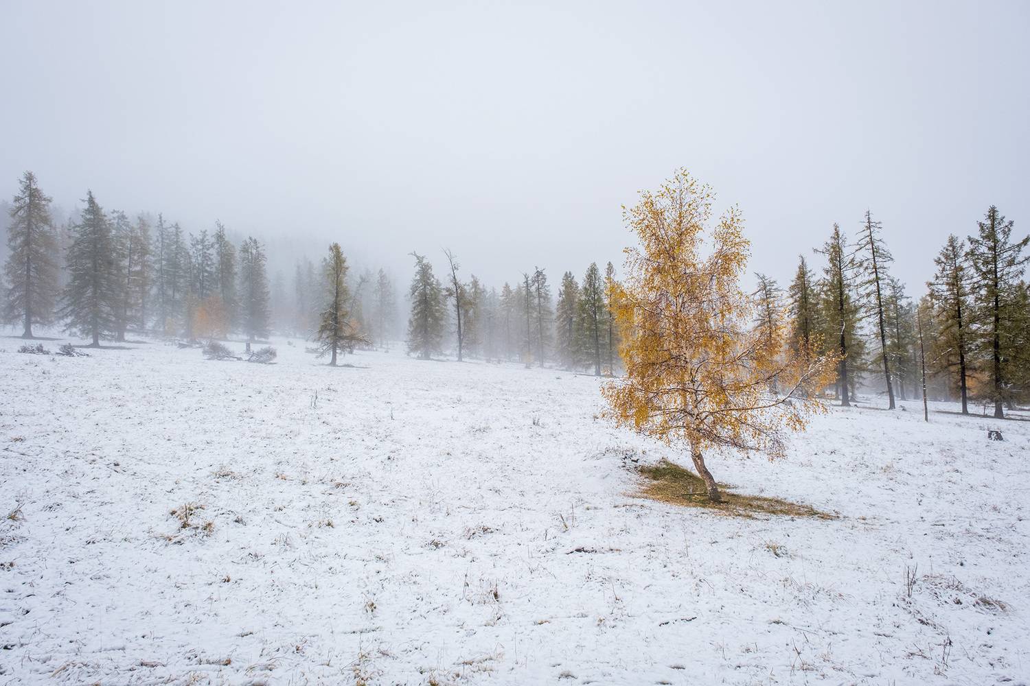 , Бодрягин Виталий