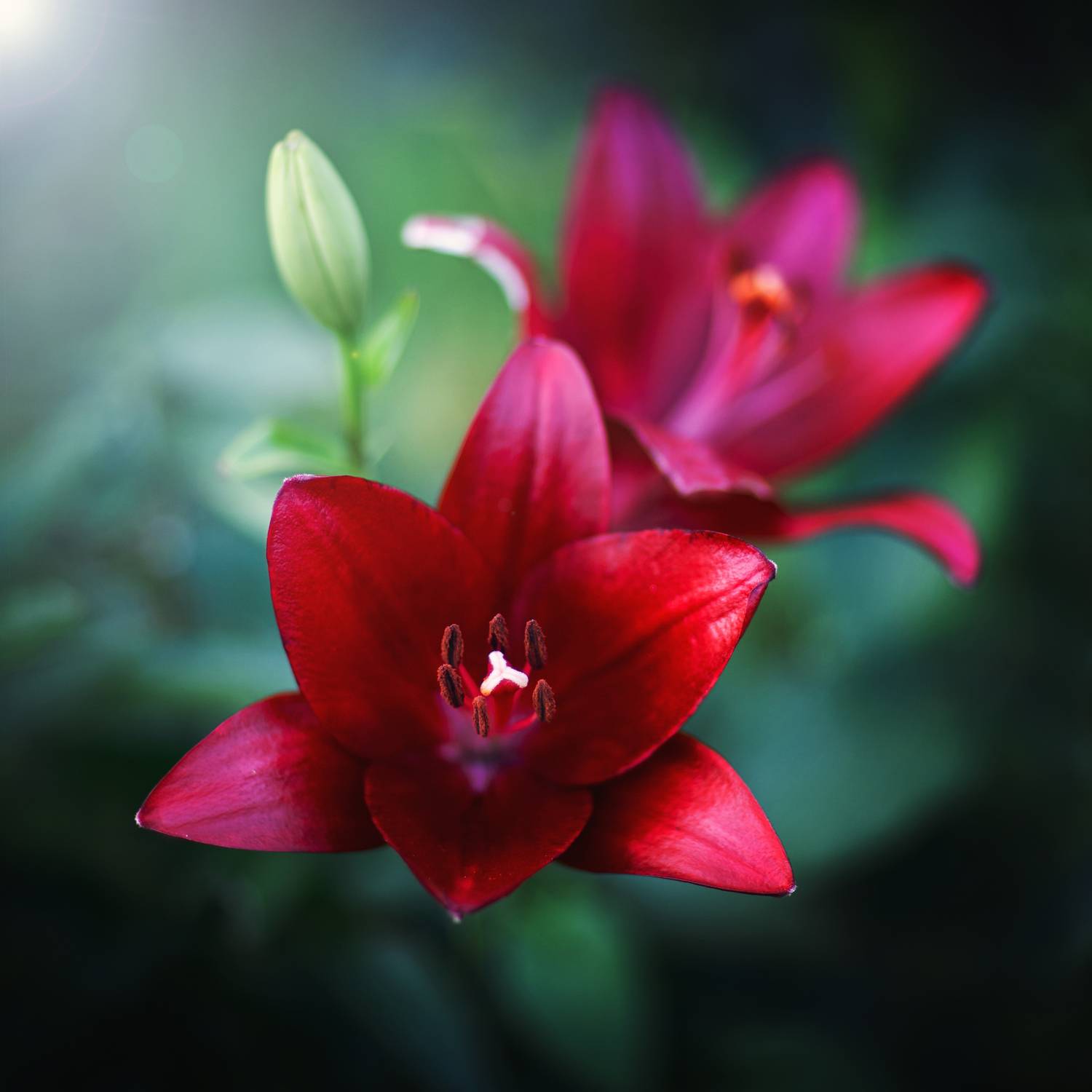 , Гуляев Алексей