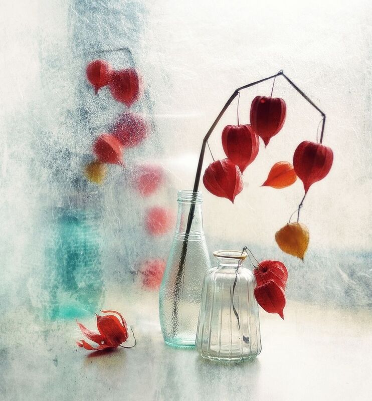 натюрморт,осень,физалис,стекло фонарики... фото превью