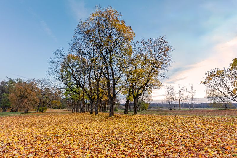 нарва осень октябрь лаагна окрестности нарвы Про янтарные поляны. фото превью