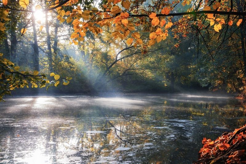 Осенним утром... фото превью