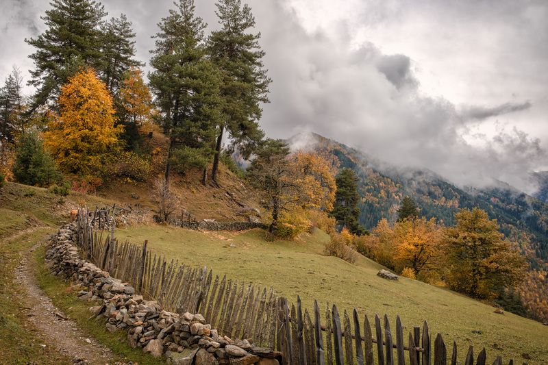 svaneti, tsvirmi, fall, autumn, trees, mountains, clouds, sky, nature, landscape, scenery, travel, outdoors, georgia, sakartvelo, chizh Tsvirmi Autumn фото превью