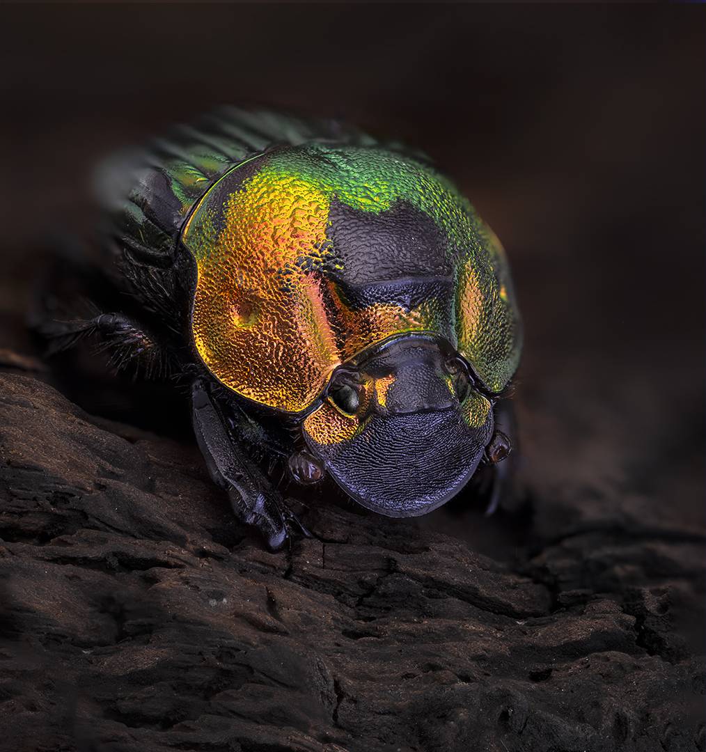 , Kavaliauskas Eugenijus