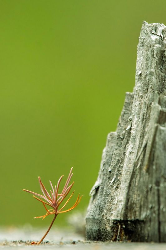 Мольба к Всевышнему фото превью