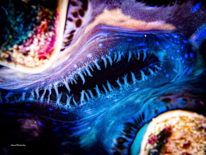 Serious look фото превью