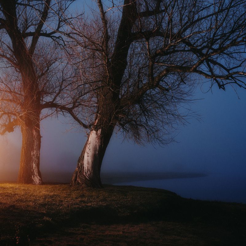 Fine Art, Пейзаж, Туман, Ночь, Деревья, Синий, Оранжевый, Контраст, Атмосфера, Мистика, Тайна, Одиночество, Тишина, Вода, Река, Ночной пейзаж, Свет, Тьма, Порог, Грань, Кинематографично, Концептуальное. Грань миров фото превью