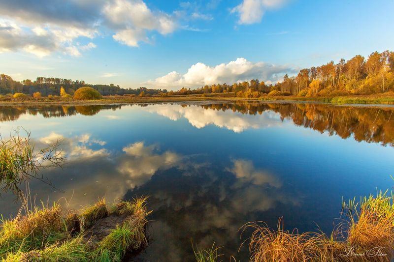 Костромской край. фото превью