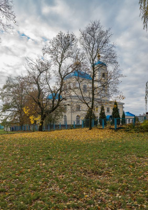 Грачи улетели фото превью