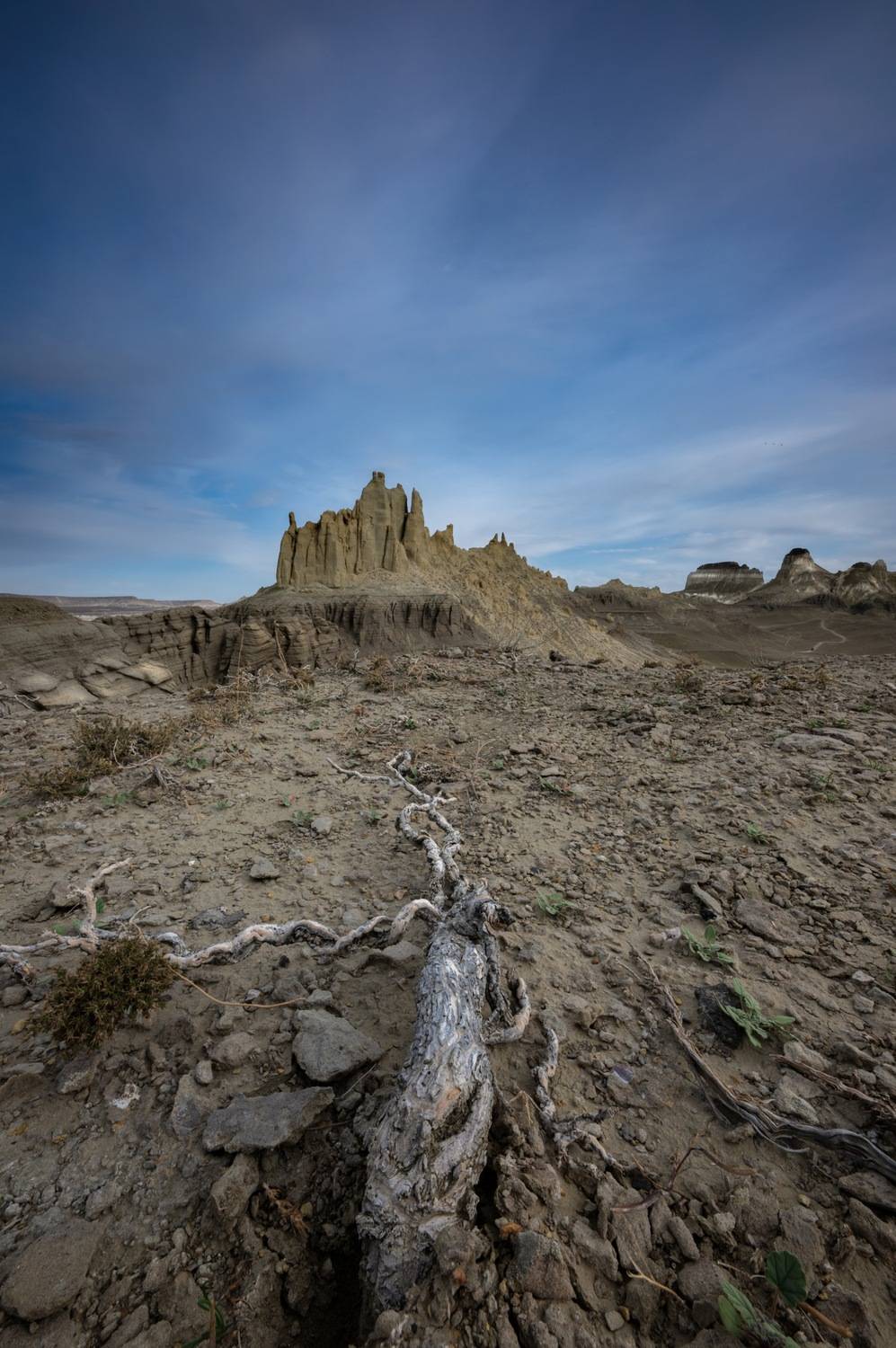 , Ширгин Сергей