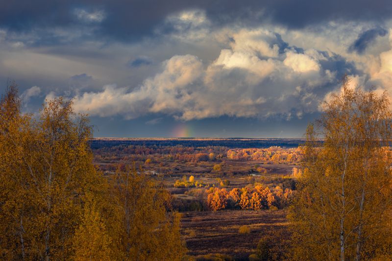 В закатных лучах. Быковка. фото превью