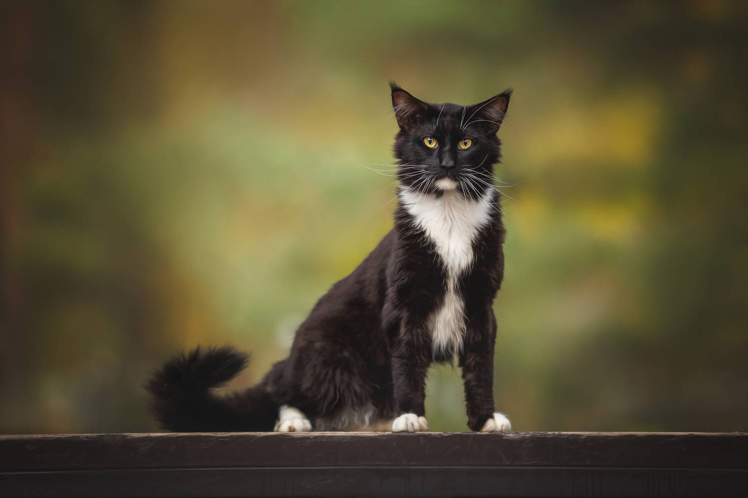 , Яна Нарбутович