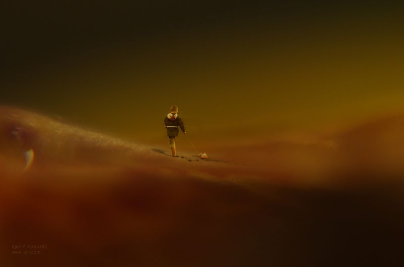 *** фото превью