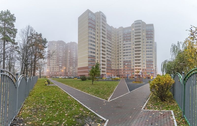 В утреннем тумане фото превью