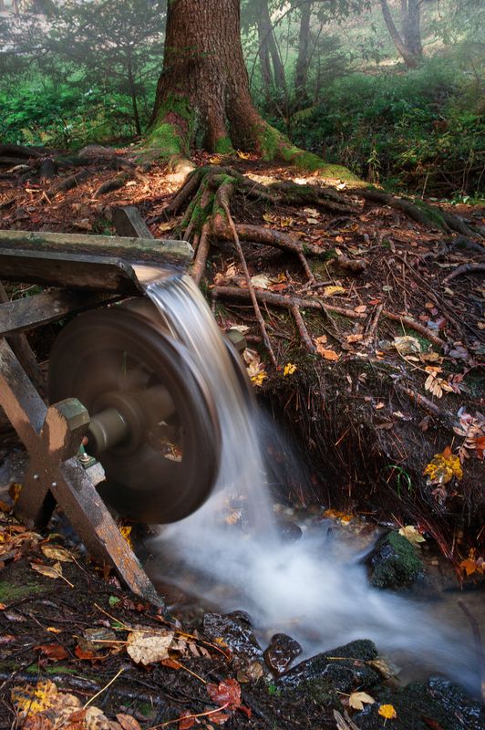 ручей лес вода дерево мельница Мельница фото превью