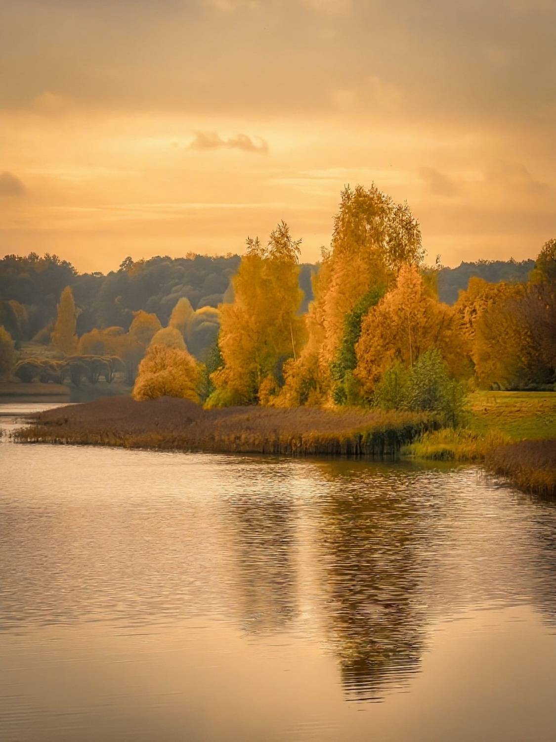 пейзаж, landscape, nature, природа, осень, autumn, золотаяосень, goldatum, пруд, Julia Kaissa