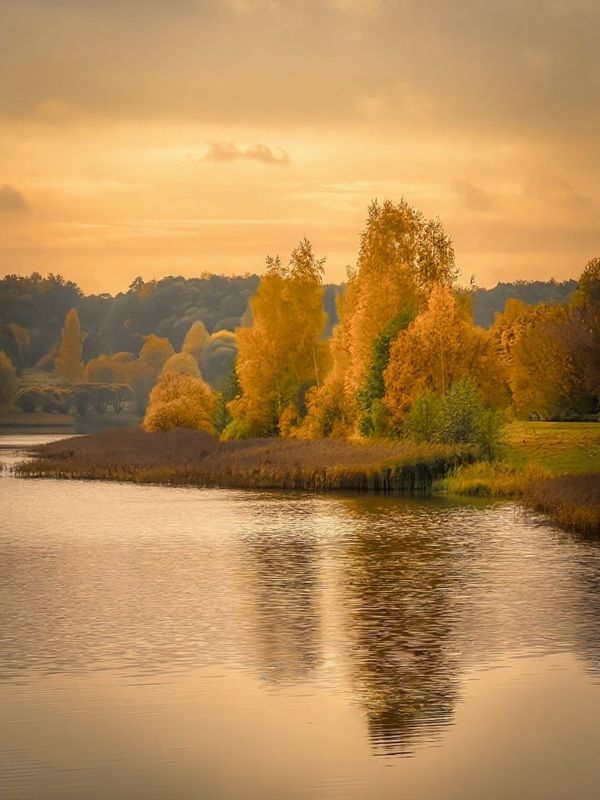пейзаж, landscape, nature, природа, осень, autumn, золотаяосень, goldatum, пруд *** фото превью