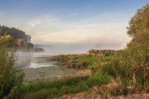 Туман над рекой.