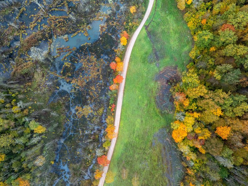 Осень наступает фото превью