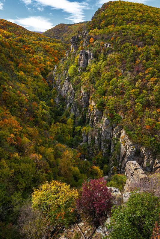 :) фото превью