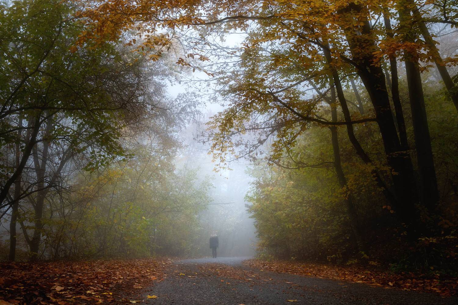 , Шевченко Юрий