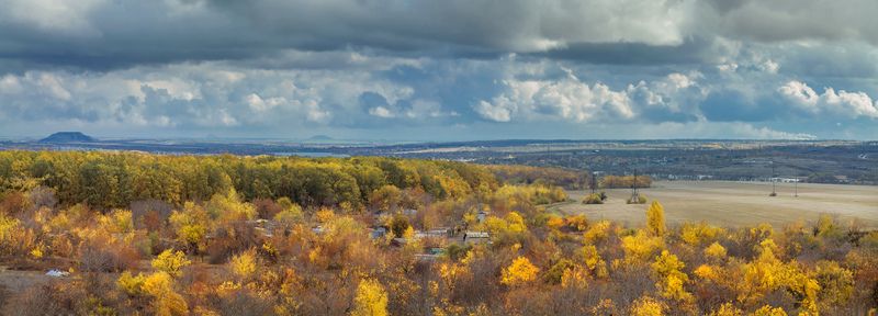 Осень за окном. фото превью