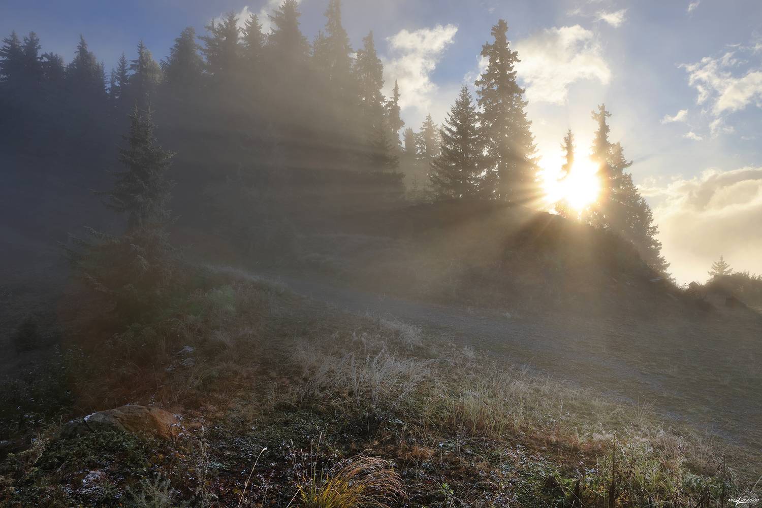 swiss, Матвеев Николай