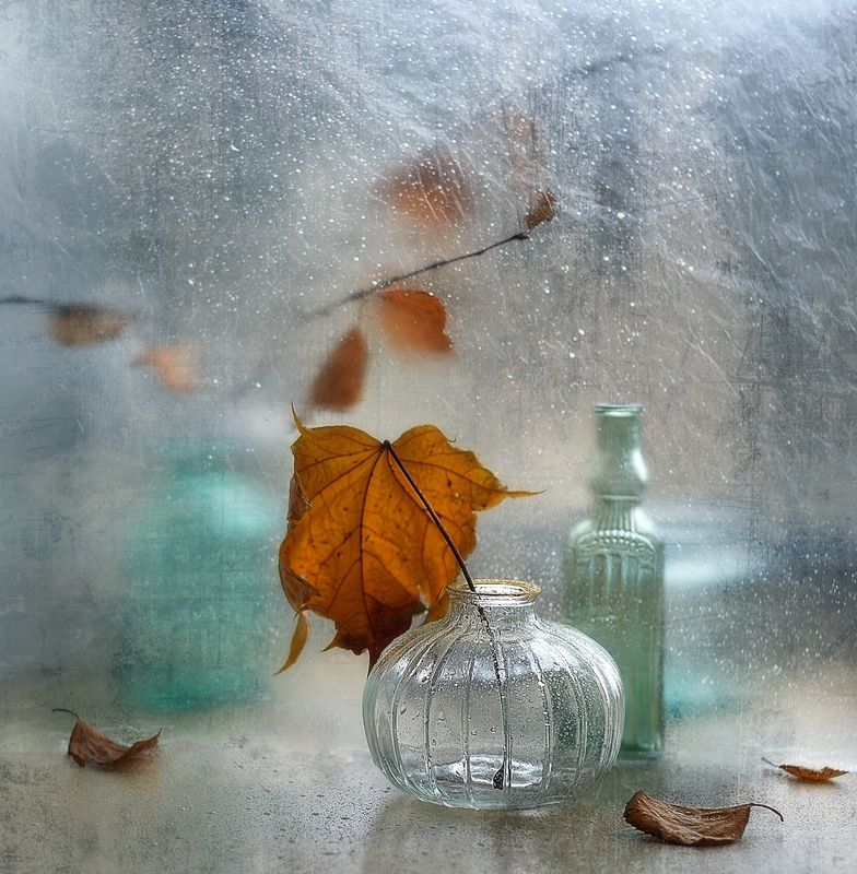 натюрморт,осень,листья,стекло осенний... фото превью