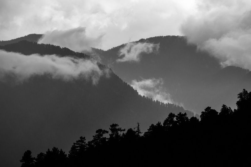 алтай Дали фото превью