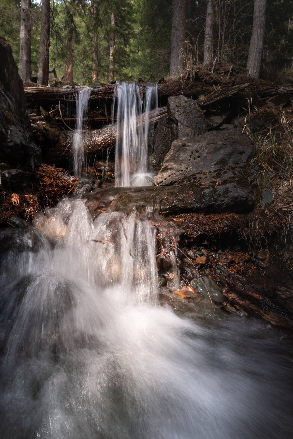 , Коротеев Вадим