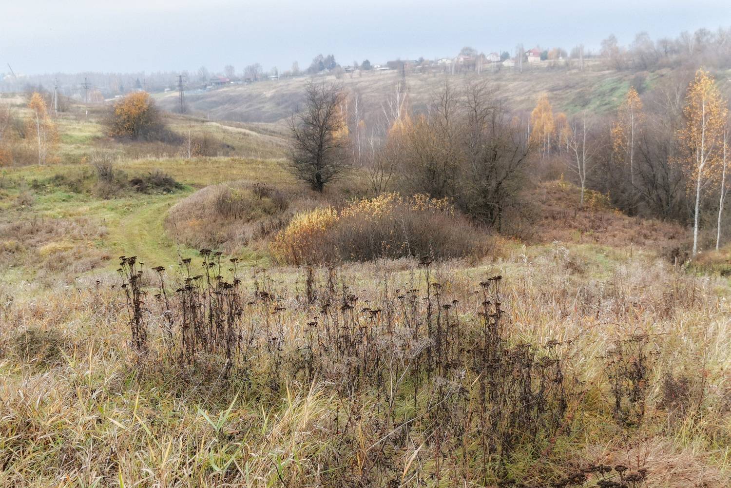 , Кондрашова Светлана