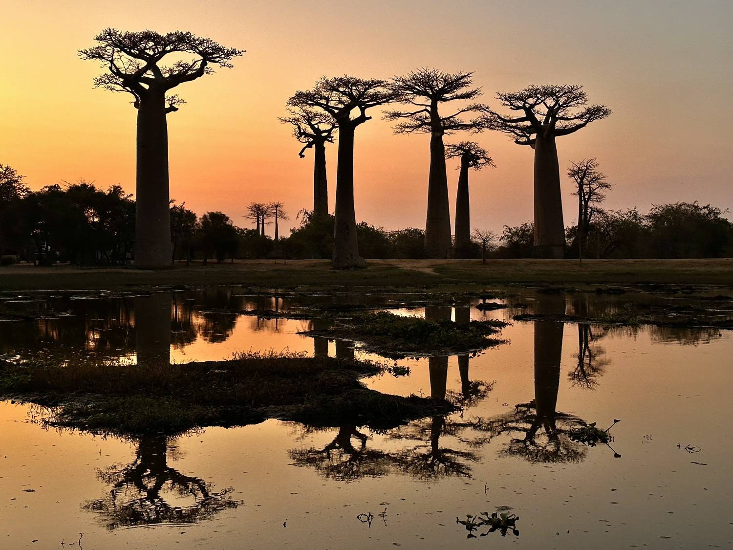 , Голубков Леонид