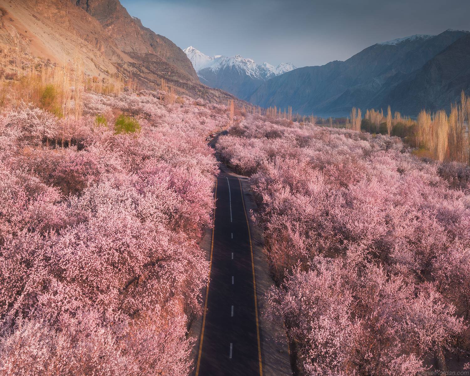 , Даниил Коржонов