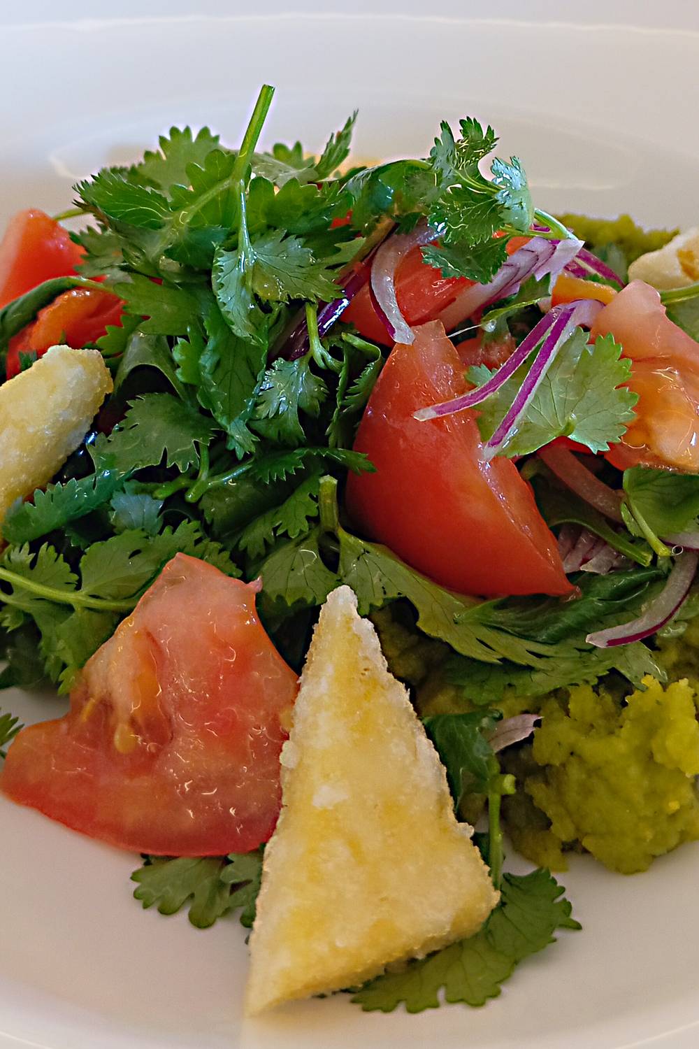 , Щеглов Дмитрий