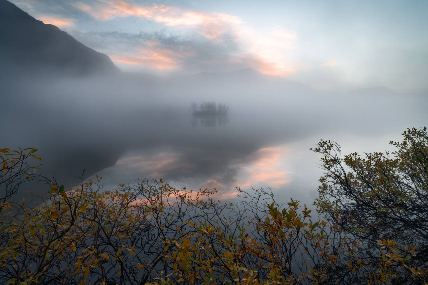 , Ян Сурогин