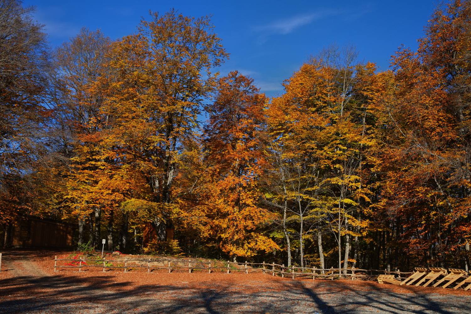 , Игорь Щербаков